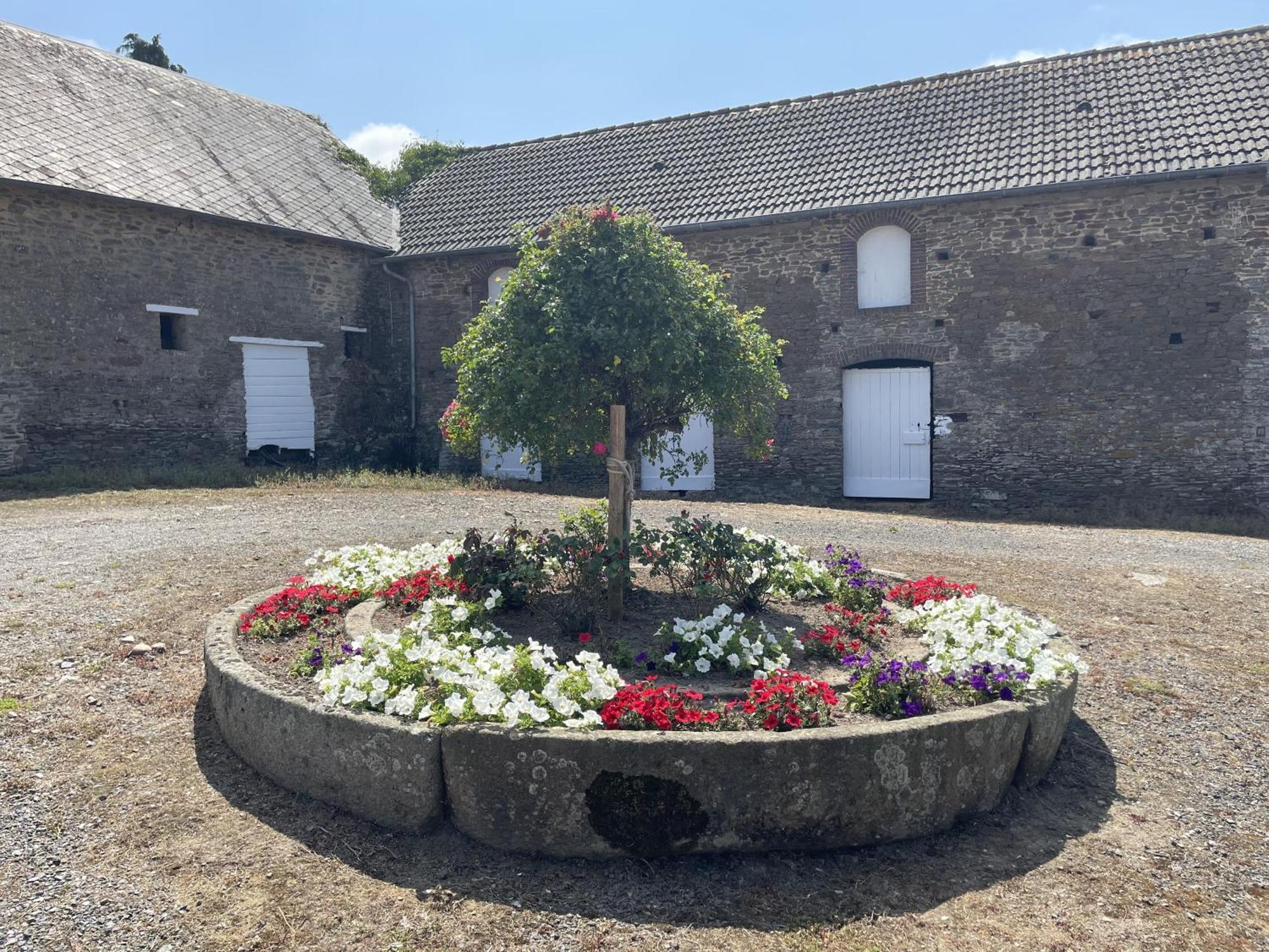 B&B Chambres D'Hotes Ferme Mahyas Saint-Jean-de-Savigny Dış mekan fotoğraf